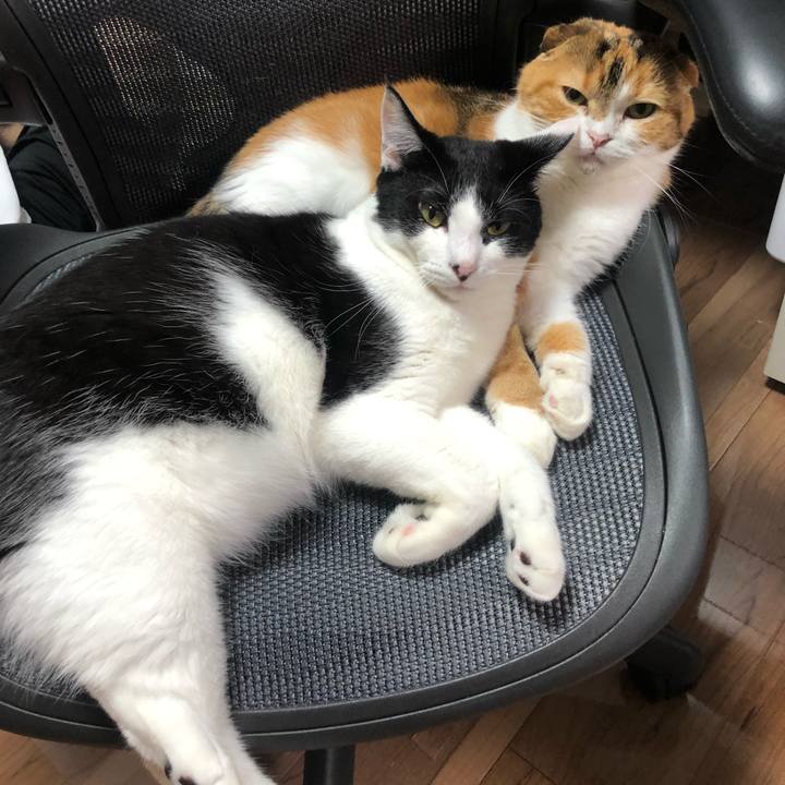 12b21588 0fbe 4358 a28e 2a64cbc4be0f 1628171440036