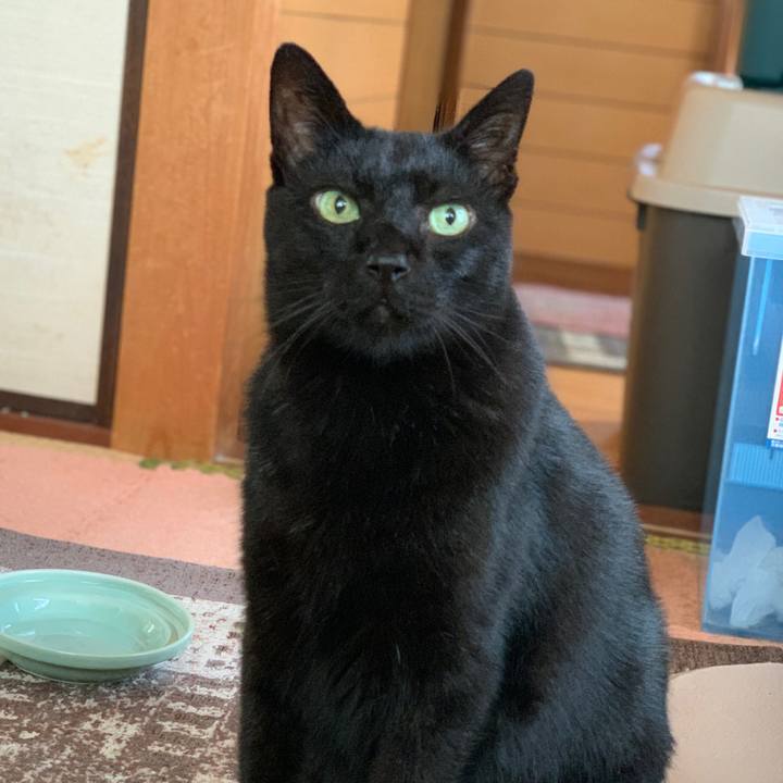 12b22531 8bf8 4dd6 b3f0 2b8fef6cdbfd 1571447628140