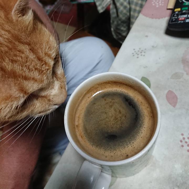 12b23674 a094 4b0b 86df 03a4c1b2826a 1593976499060