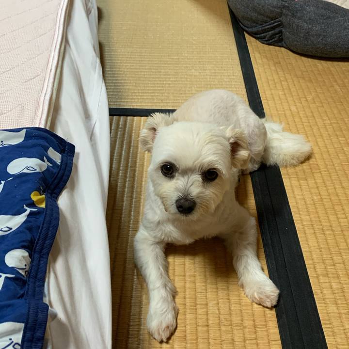 12b23bfa 055a 49e4 9d65 01c1d290fefb 1599646647183