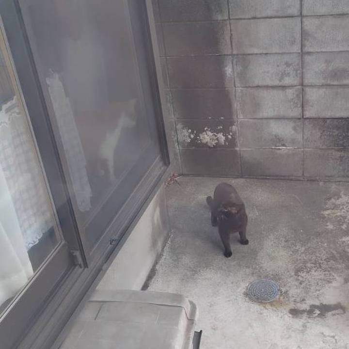 12b30e36 03ec 436a 9f24 f9698df22812 1774697950382