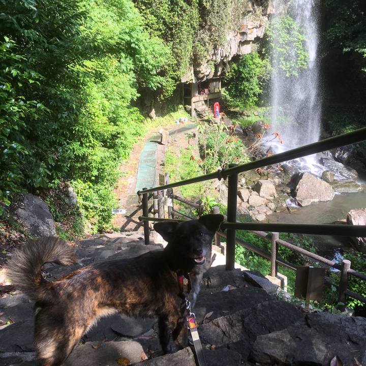 12b31f61 0e2b 4098 b5a0 3d6488c3f3a1 1528125405788