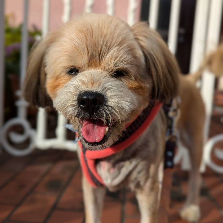 12b32554 8b58 4e97 a7a9 14de596c7975 1720395668806