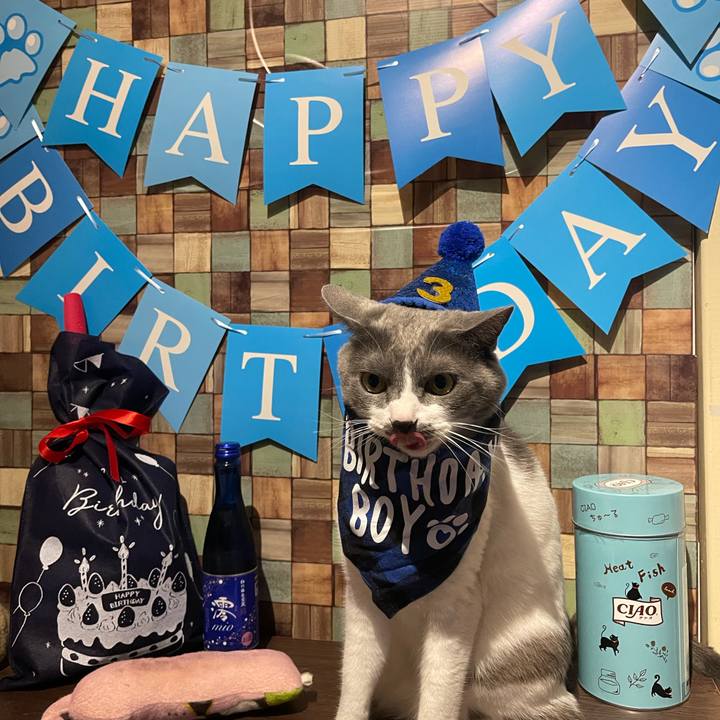 12b327ff ace7 4b81 a3e4 012b142c8dd1 1671618839832