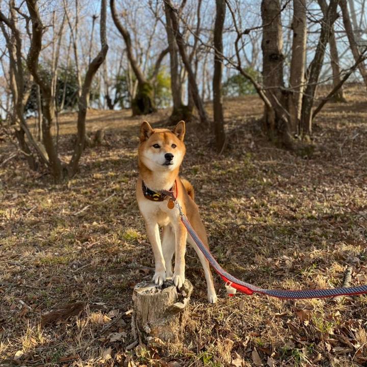 12b33269 728c 4b0f ab8b 4fef02de96de 1613212041476