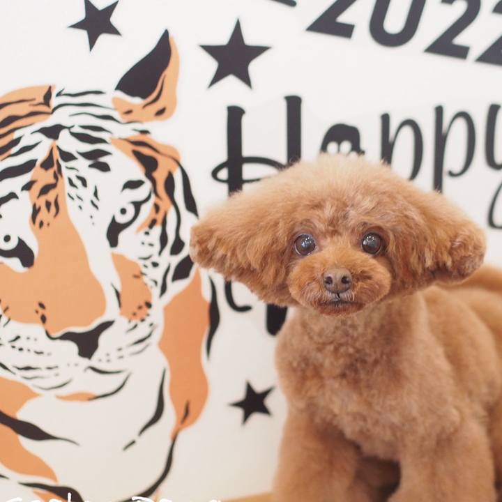 12b343b3 e4bb 4624 85fb ab3590e7c7e1 1641849602991