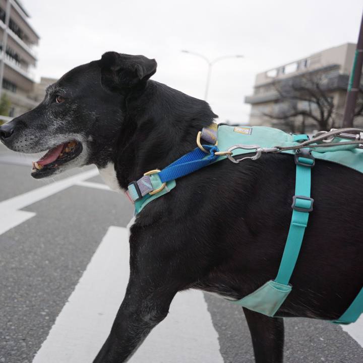 12b39b26 5652 4e85 9aa2 ae44660321d3 1771893558426