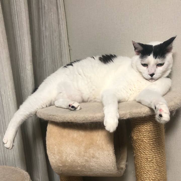 12b3bd56 0307 47a3 834b 6e822a09c0f9 1567696310318