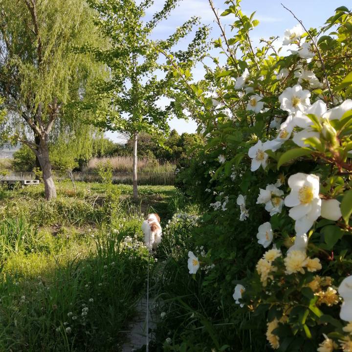 12b3dd0e 7b89 4b27 b170 cd80b44b7eec 1619514379743