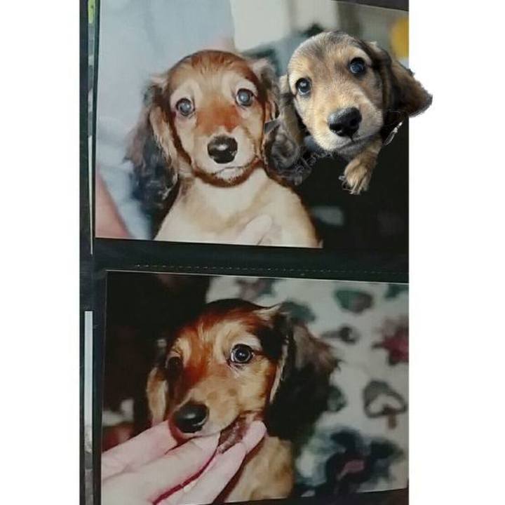 12b4183d 0053 48aa 8367 e74dc26989bb 1758518026537