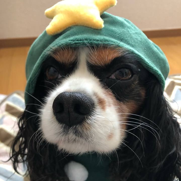 12b43f39 f75a 4886 9f8b 8ff2492f28e3 1545607436494