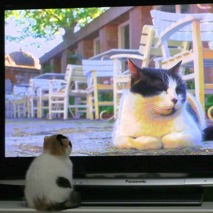 12b46ab5 32a8 496b af33 71386973b6da 1664177602769