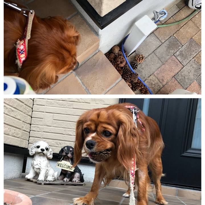 12b48a8d f128 42e5 b6b8 98eb6b5a7801 1560948370546