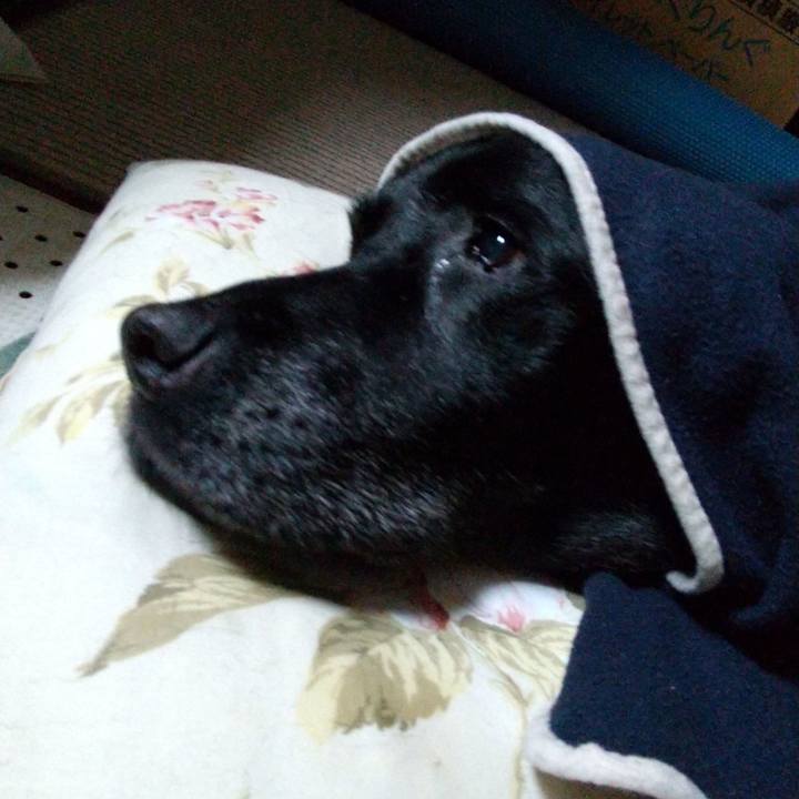 12b4bbc0 e9ca 435d bf2d d7a395ed8498 1702335793129