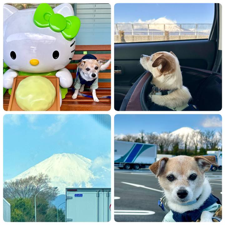 12b4ca0f 4c46 4243 97a1 e6d6ea630080 1677981757720