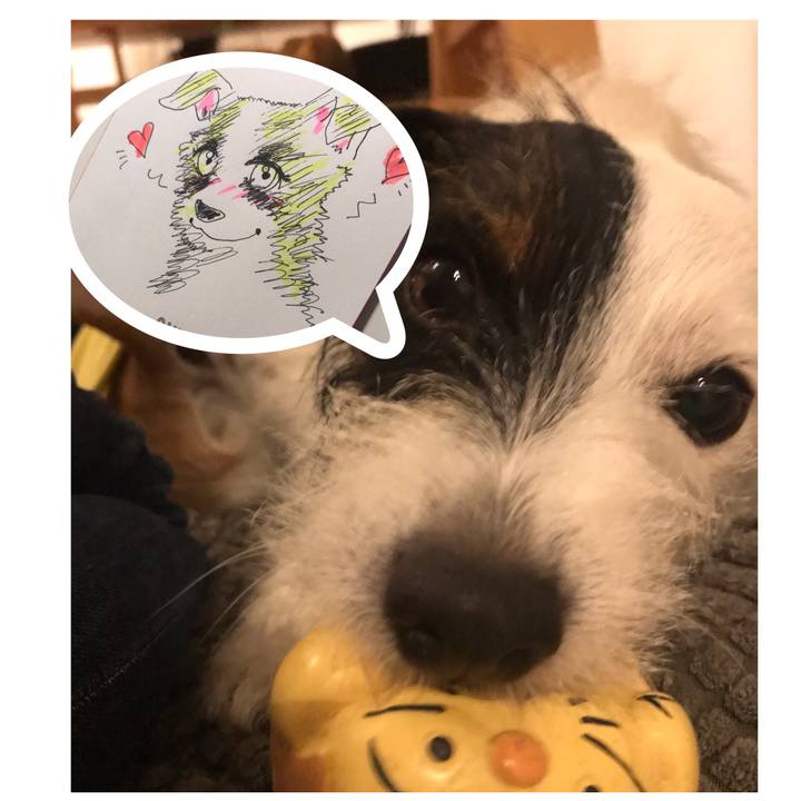 12b51936 f78e 48fa bf26 64e8eaefe2fe 1541590743380