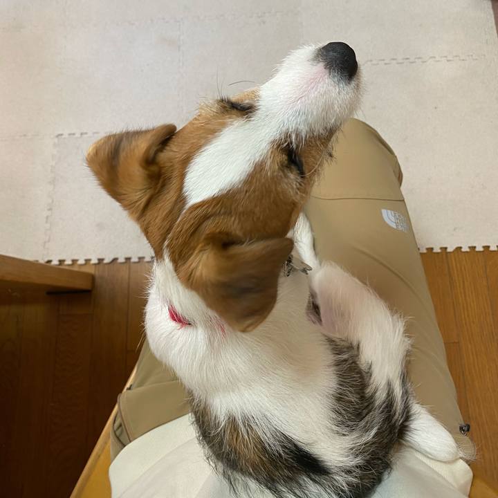 12b51a88 37cb 43c9 bfc0 55c2728a2058 1617757296966