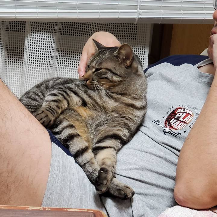 12b521cb 0e34 42bb 8312 d401fd4617b9 1703262253031