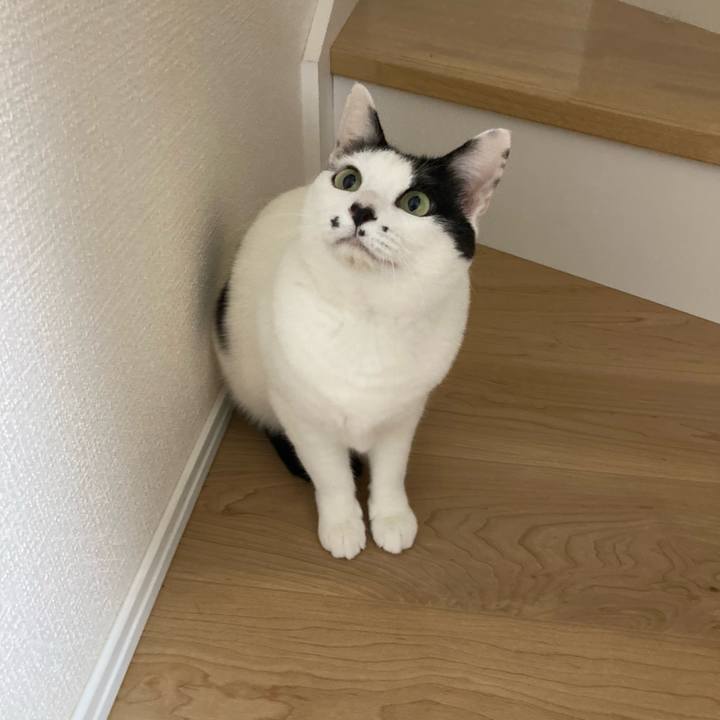 12b5409b 9fc8 4e3d 874a ae01ce802887 1772138272640