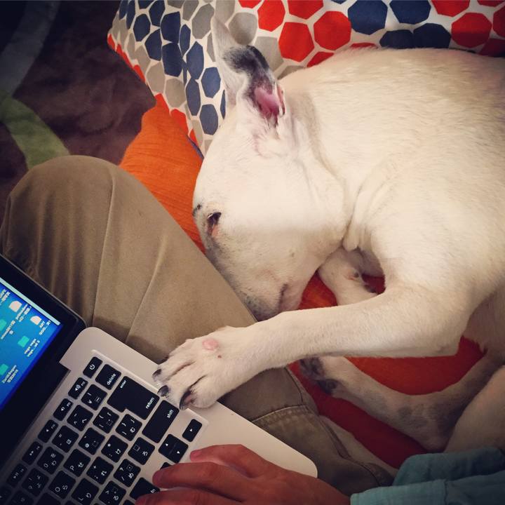 12b56ad7 316b 4c8f b901 532bb0f3e1b8 1524874082084