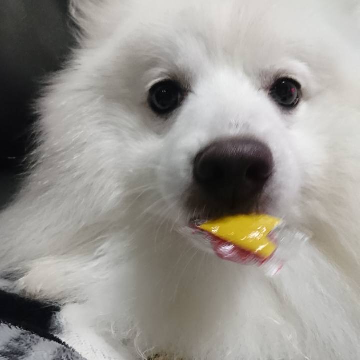 12b59ff2 ac44 46fa bafd 07ce761bcd0b 1567434824360