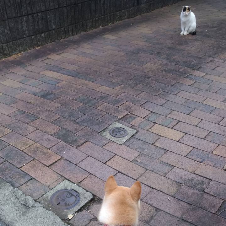 12b5ddbe e961 4abd b430 7d2fc3f270d1 1540708793675