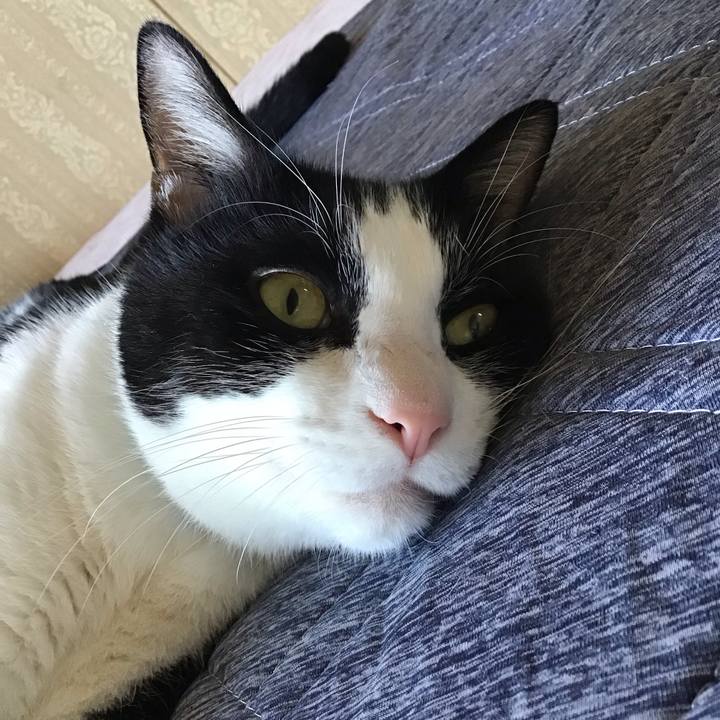 12b5e3df 264d 40e9 bdf3 57597528d7dc 1759135212091