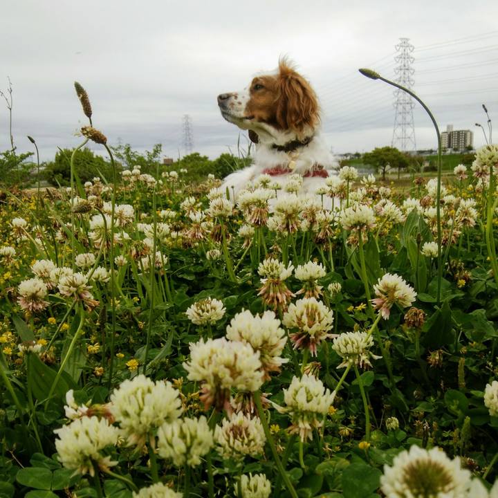 12b5e65c edde 41e6 82da cfaefc0cfc57 1556624481022