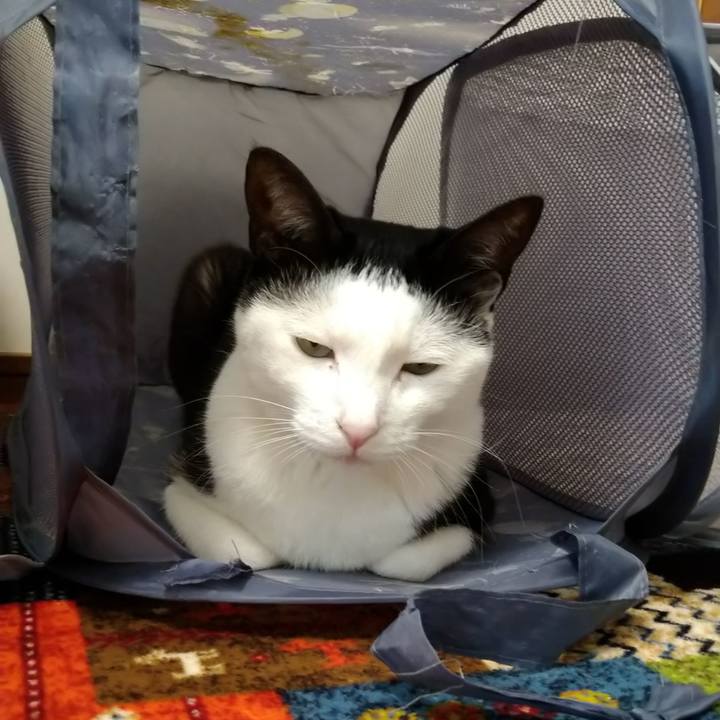 12b5ed37 36b3 4f85 8997 dcdfd731ff24 1585195535508