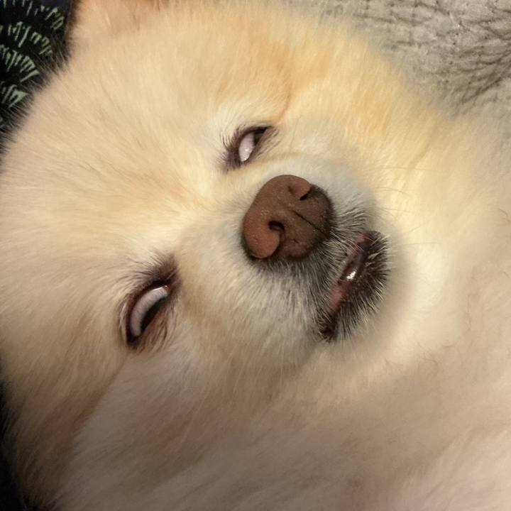 12b609a3 32d5 4c99 894d b48ccda576f0 1755175210117