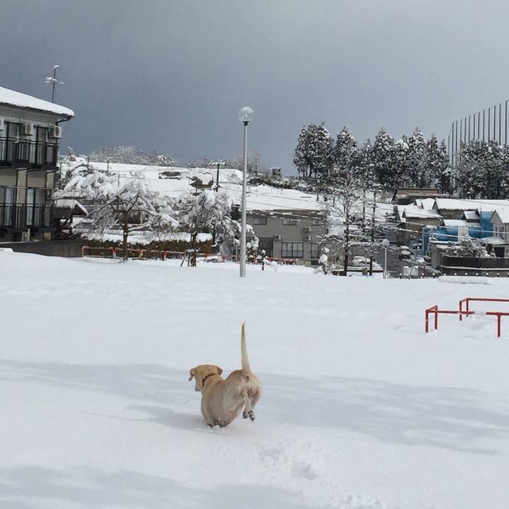 12b638fa 4e7c 4e5e bd4b bca850c89275 1548778971457