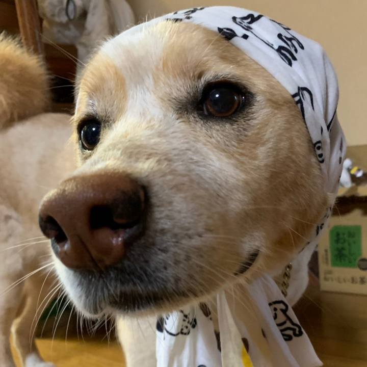 12b6488b 4338 4d24 8507 654f187d6161 1558394388332