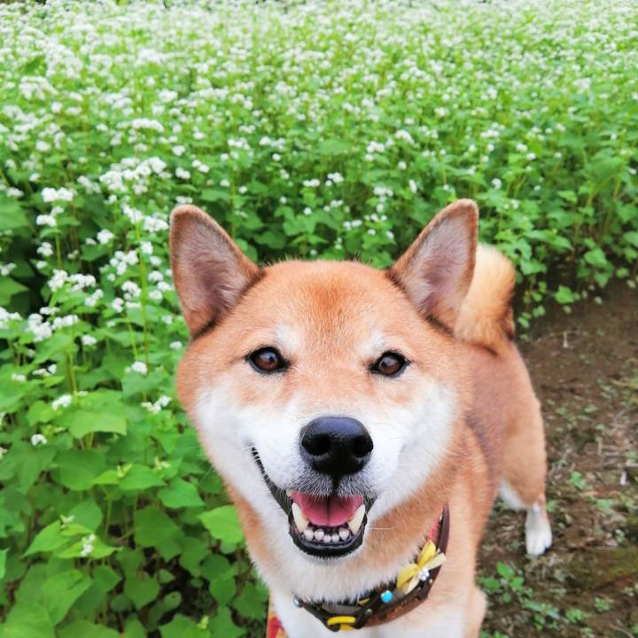 12b65872 b6af 40d0 b86c 45272538ec78 1600930096029