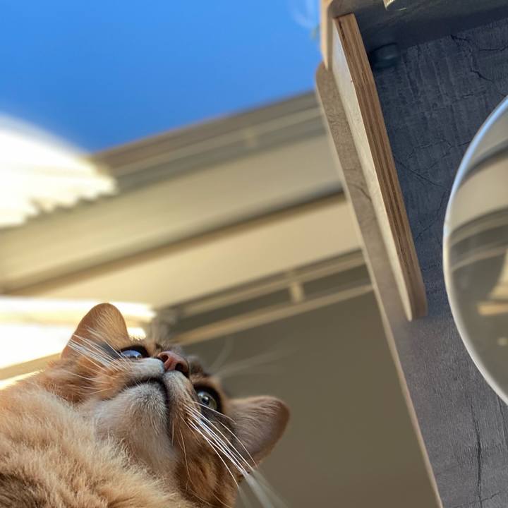 12b69536 cec0 4643 b0f0 fc8b109f2b7b 1738832890405