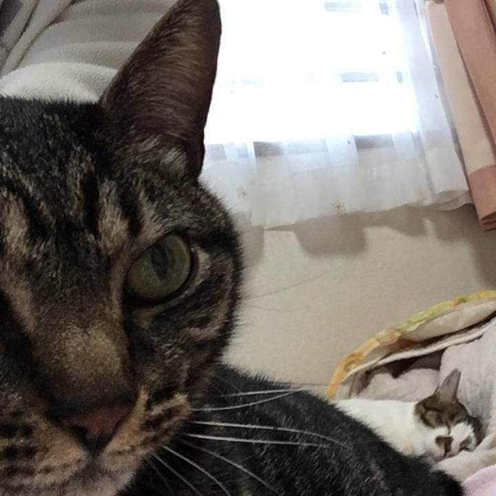 12b69a06 9f9c 43de 948a eb88a241a676 1526273936962