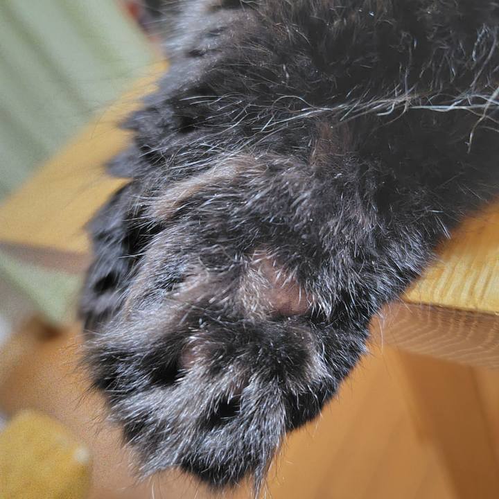 12b69f14 d38f 4a52 8dd5 6d65149e76ee 1753962924754