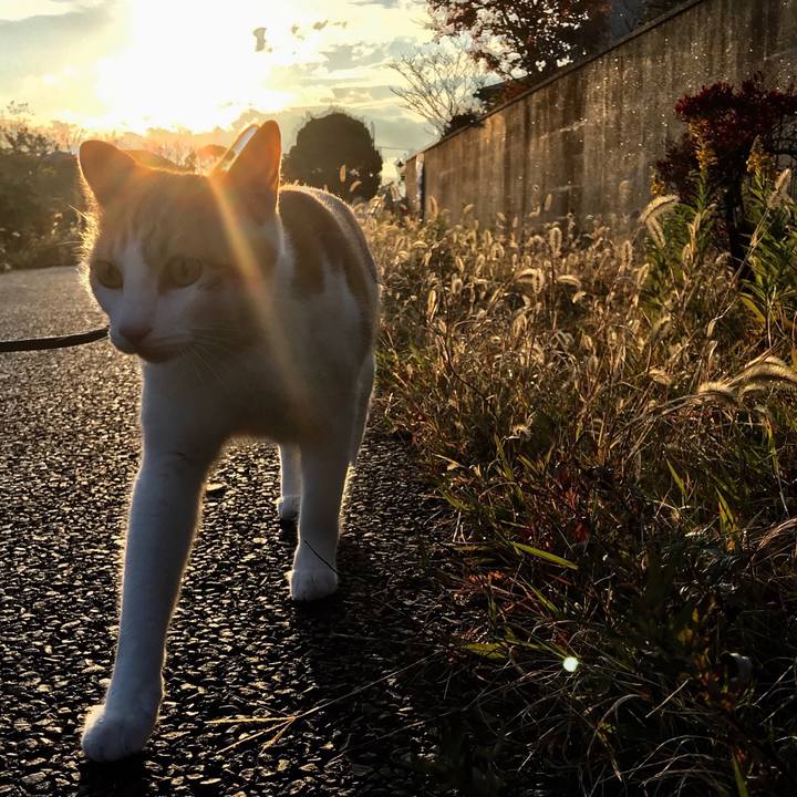 12b6a759 aad7 4290 b7fb ff39a1878f6a 1511521789911