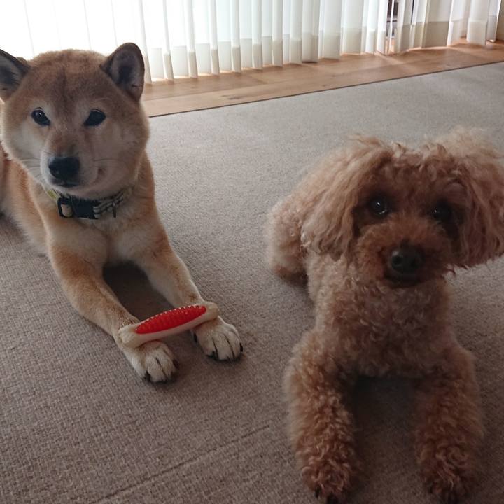 12b6e94a 402a 40d9 ad10 771416900cfc 1593745431479