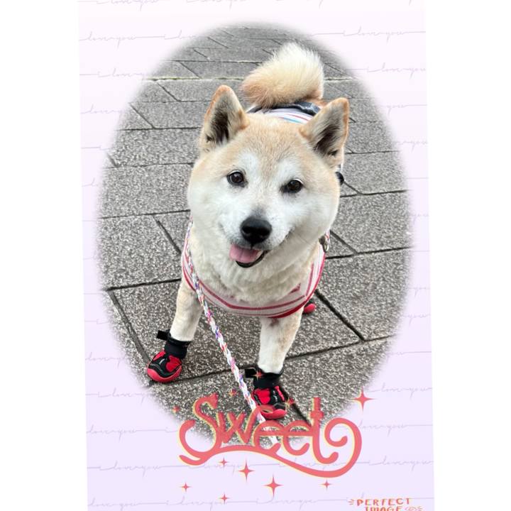 12b71e41 ce31 4782 8aa3 654e5023ca45 1747951895073