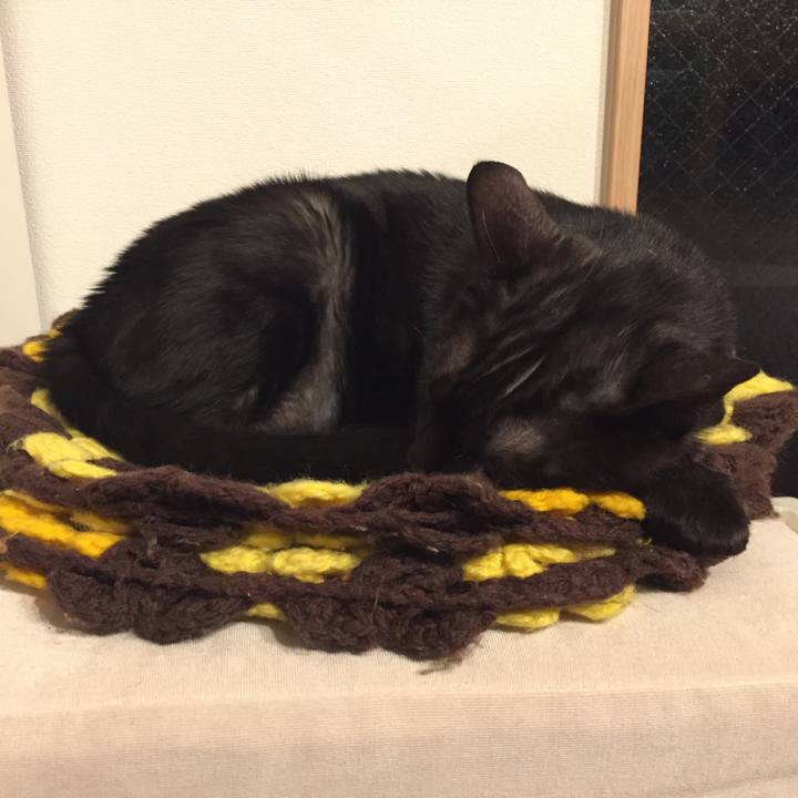 12b72418 b603 445e 9f2d fd53f08fbd97 1508401838159