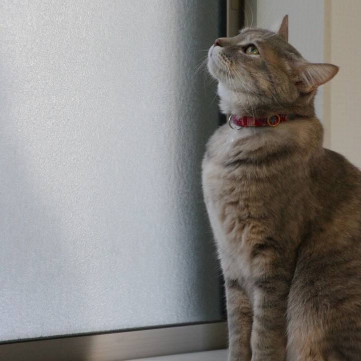 12b74b5c d301 495e afcb 6e5044eeef39 1511312015145