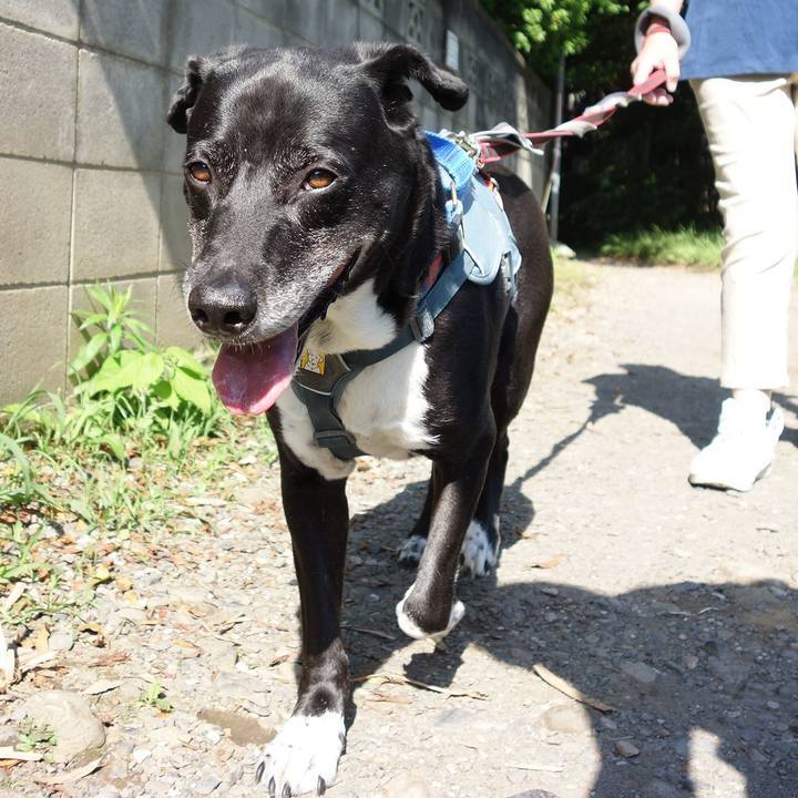 12b76c75 4283 4482 8fe3 326427b1662a 1717809285812