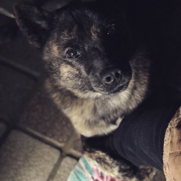 12b790a2 c92a 40b1 8a74 04ac079c8d97 1509838471414