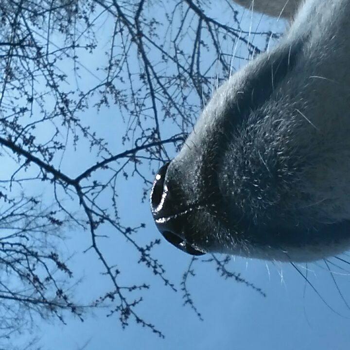 12b79f21 d996 45ea 80ba 72c88a20c885 1520385911704