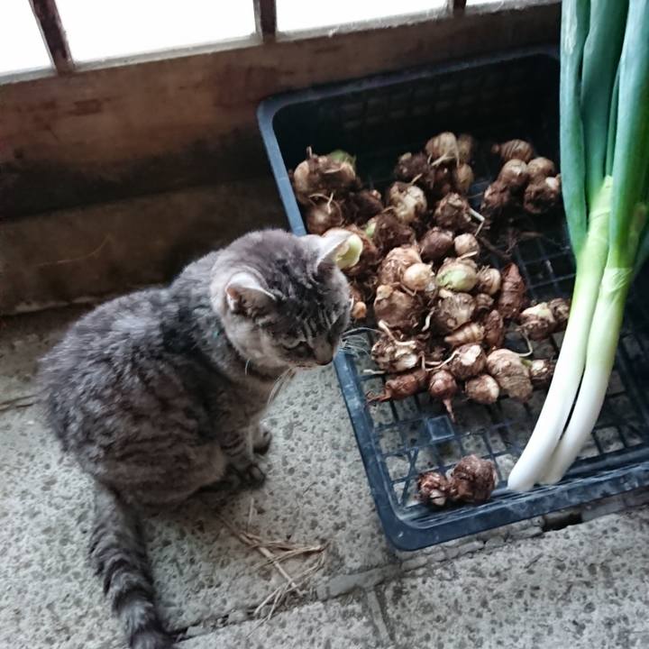 12b7aef2 a6b8 47ec abdb 6ba274a6f950 1571558323945