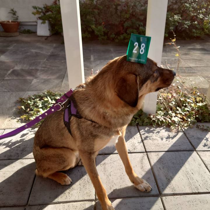 12b7bf2e 75f7 4146 8155 fc1bc46f54e1 1707550184991