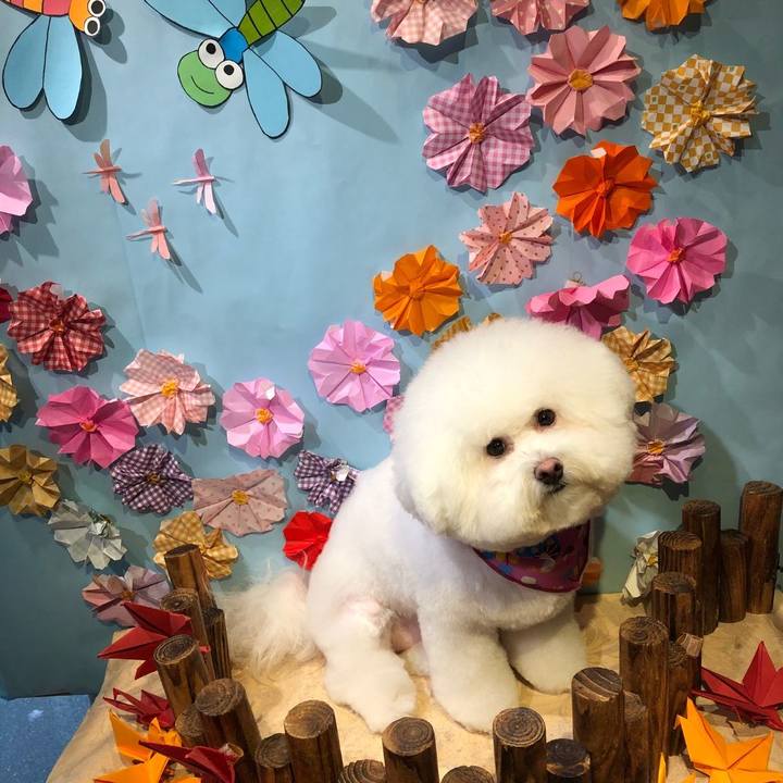 12b7c007 9570 4c32 813c fa809c34c9d0 1601604159968