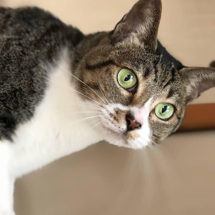 12b7e2a2 9536 4afb bb8b 81bda66539c9 1508979543783