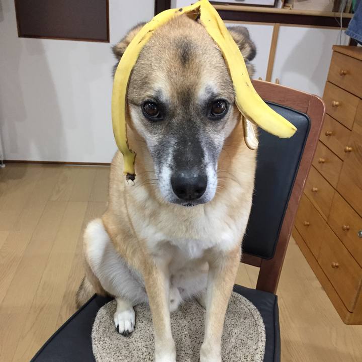 12b7ed49 f89e 4956 a8c2 24741498bd19 1516168964216