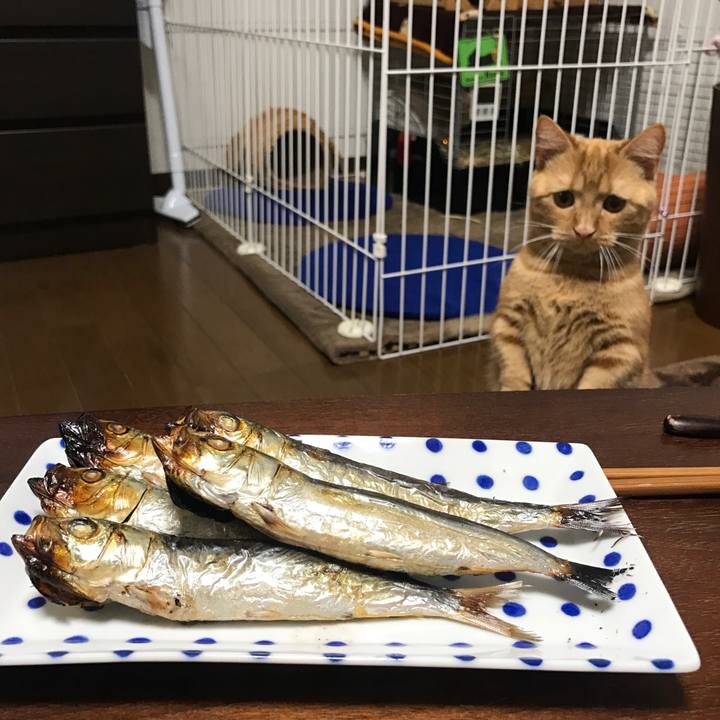 12b7f344 31f9 4dbb 8a44 66514293e9c7 1516189002531